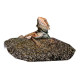 New Pet Roca Termica Reptiles