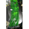 Planta Aqua Clean 20066
