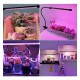 Iluminador Aqua Clean Growt 10 w