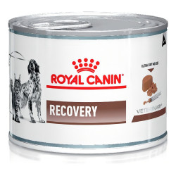 Recovery 340 g x 1