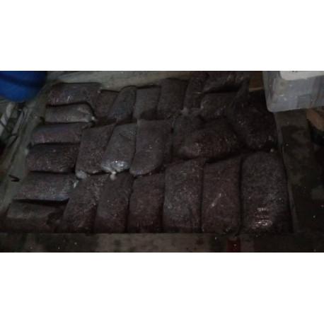Grava de Rio Usada 25 Kilos