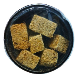 Ocean Tewch Tubifex FD Liofilizado 10 g
