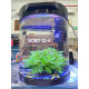 Acuario Sobo Q-6 11 Litros
