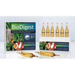 Prodibio Bio Digest x 1 Ampolla Bacterias