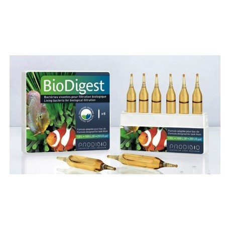 Prodibio Bio Digest x 1 Ampolla Bacterias
