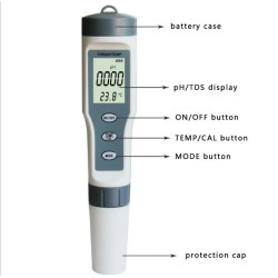 The Coral Garden Test m41