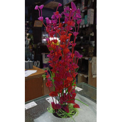 Planta Aqua Clean 115A