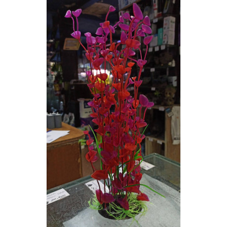 Planta Aqua Clean 115A