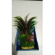 Planta Yusee AB-60-208