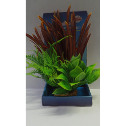 Planta Yusee AB-30802