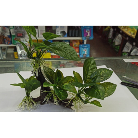 AB Tronco Resina con Anubia En Tela