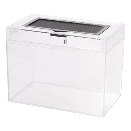 Barbarous Growth COV-P02L 30-15-18 CM