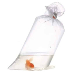 Bolsas Transporte de Peces 10x35 x 100 unidades 50 Micrones