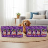 Dingo Mini Bone Pack x 7 u x 10 Paquetes 70 g