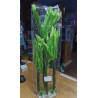Planta Aqua Clean 6015 Helecho 60 cm