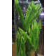 Planta Aqua Clean 6015 Helecho 60 cm