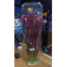 Planta Aqua Clean 6015 Lirio Violeta en Flor 60 cm