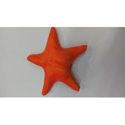 FRA-282 Estrella Culona