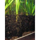 FPA Sustrato Nutritivo Acuario 1,5 Kilos